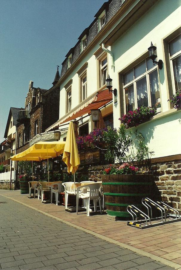 Gasthaus Zur Traube Hatzenport エクステリア 写真